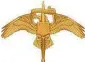  ?? U.S. Marine Corps ?? The new insignia of the Marine Raiders.