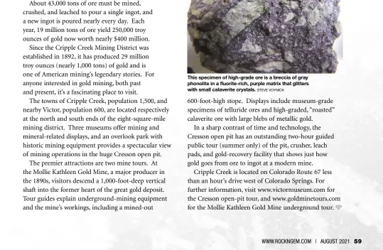  ?? STEVE VOYNICK ?? This specimen of high-grade ore is a breccia of gray phonolite in a fluorite-rich, purple matrix that glitters with small calaverite crystals.