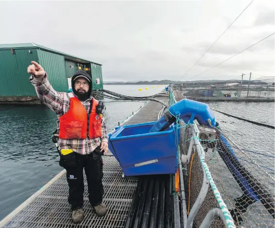  ??  ?? Moe Isaac is the manager of the Marine Harvest fish farm near Midsummer Island off Alert Bay. “I believe it’s part of our heritage, the salmon,” he says.