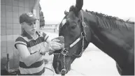  ?? MICHAEL BURNS / THE CANADIAN PRESS ?? Say the Word, here getting a sponge bath, is one of two entries trained by Graham Motion of Sam-Son Farm in Saturday’s $1M Queen’s Plate at Woodbine in Toronto.