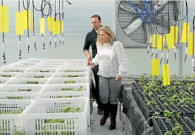  ?? ?? Matthew and Catherine Dwan at the NZ Truffle Company nursery being used for a 75-hectare truffle plantation near Darfield.