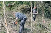  ??  ?? 200 Linden waren am Wupper-Ufer gepflanzt. Die Bäume sind weg, umgefallen oder nicht mehr zu retten.