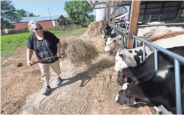  ?? MARK HOFFMAN / MILWAUKEE JOURNAL SENTINEL ?? Karen Cihlar feeds heifers Sept. 13 on her family’s farm nearAlgoma.