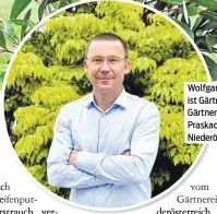  ?? ?? Wolfgang Praskac ist Gärtner vom Gärtnereib­etrieb Praskac in Niederöste­rreich