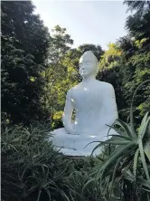  ?? Photos: Heather Moore ?? Left: A portrait of Louis van Loon doing what he loved best. (Photo: Supplied); Above and below: Peaceful scenes of the Buddhist Retreat Centre, which overlooks the bucolic Ufafa Valley, outside Ixopo.