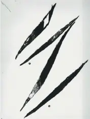  ??  ?? Daniel Busto. « Le coup de foutre ». 1980. Pointe sèche, impression à la chinoise. 26,5 × 21 cm