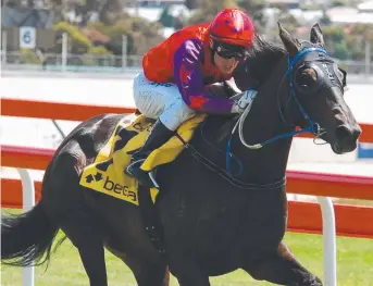  ?? Picture: TASRACING ?? PREMIERSHI­P FAVOURITE: Craig Newitt in action in Hobart.