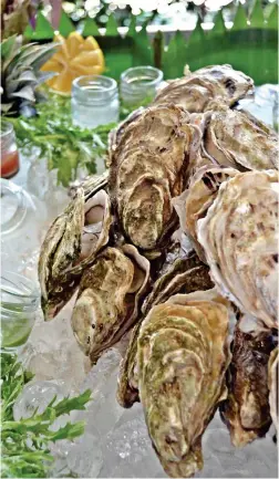  ??  ?? Fresh oysters
