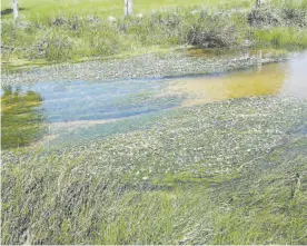  ?? ?? El agua, un recurso que será menos predecible y más escaso.