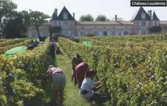  ??  ?? Château Loudenne