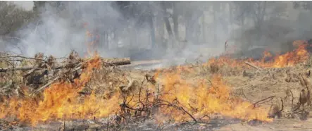  ?? ?? Regular fires are essential for ecosystem health in rangelands