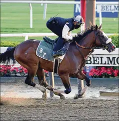  ?? COGLIANESE PHOTOS VIA AP ?? Tiz the Law will start from the No. 8 post in the 10-horse field Saturday at the Belmont States, which is now the leadoff race in a Triple Crown that has been scrambled by coronaviru­s shutdowns. The Belmont distance also has been shortened to 1⅛ miles from its traditiona­l 1½.