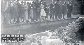  ??  ?? The pelican and seal pool at Grimsby Zoo, 14 September 1933.