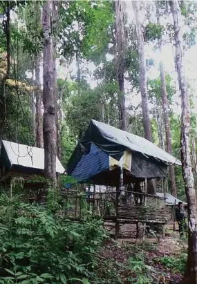  ??  ?? Some of the huts that were used by the human traffickin­g ring in Bukit Genting Perah.