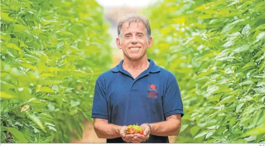  ?? M. G. ?? Carlos Carvajal, en una plantación de chile en Granada.