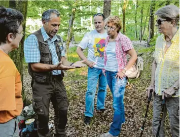  ?? Foto: Leonie Steinhardt ?? Förster Rolf Banholzer führt durch den Derchinger Forst.