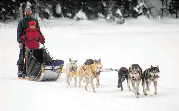  ?? Doug Struck /Washington Post ?? On a dog-sled adventure in Quebec, a guide Alex LeClerc and a youngster kick back and let the huskies pull them along a flat stretch in Val-des-Lacs. When they hit trickier parts of the trail, they walk or run behind the sled.