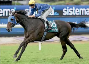  ?? SUPPLIED ?? After this easy win in the Dunstan Stayers’ Final at Ellerslie on New Year’s Day, Savabeel gelding Clarify gives Peter and Shaun McKay a strong hand in the Wellington Cup.