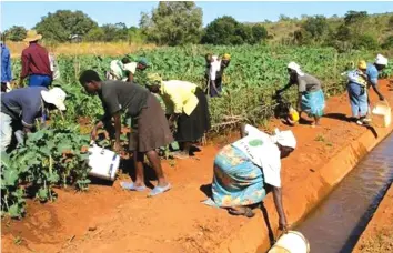  ??  ?? The Nyakomba Irrigation Scheme Phase 2 Expansion Project includes the constructi­on of pumping facilities, improving water level control, water distributi­on and flow measuremen­t by building new canal structures