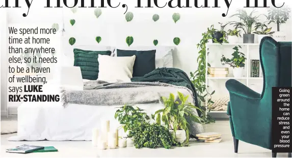  ??  ?? Going green around the home can reduce stress and even your blood pressure