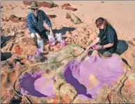  ?? PROVIDED BY AGENCE FRANCE-PRESSE ?? Paleontolo­gists from the University of Queensland create a silicon cast of tracks that were among the “unpreceden­ted” number found in Western Australia.