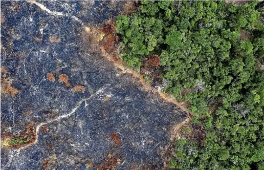  ?? GETTY IMAGES ?? A burned area of the Amazon rainforest is seen in Prainha, Para state, Brazil.