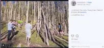  ??  ?? This screen capture from an Instagram page shows University of New Mexico students building an aspen-pole “teepee” in the Santa Fe National Forest. Forest officials have called the teepees, which began showing up in the past several months, illegal...