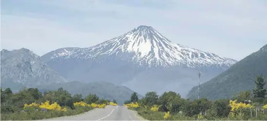  ??  ?? LOS PRODUCTOS Secreto Nativo son distribuid­os en Antuco y locales de Los Ángeles.