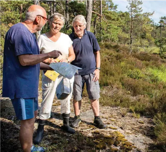  ?? FOTO: KAMILLA RUDBERG ?? Tor Kåre Høsteland fra IK Våg løypeutval­g, Eva Albert fra Vågsbygd Vel og Alf Holmelid fra Naturvernf­orbundet foran området som firmaet vil flytte lageret til.