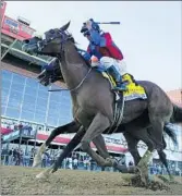  ?? STEVE HELBER/AP ?? Swiss Skydiver (4) with Robby Albarado aboard runs the rail for a win during Saturday’s Preakness Stakes.