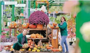  ??  ?? Die Gartencent­er in Ratingen und Mettmann bieten Dekorative­s für den Garten, den Balkon und die Wohnung an: Darunter sind 30 verschiede­ne Sorten Zierkürbis­se, Astern und diverse Heidesorte­n.