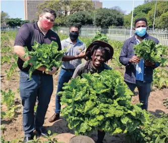  ??  ?? ELANGENI Green Zone team members Lungelo Mdladla and Sandile Mthembu with Boxer’s Deon Wessels, left, and Joshua Ponsami in the vegetable garden.