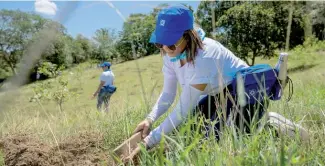  ?? FUENTE EXTERNA ?? Se sembraron 3,260 árboles en terrenos del Plan Sierra.