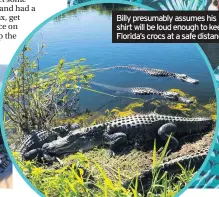  ??  ?? Billy presumably assumes his shirt will be loud enough to keep Florida’s crocs at a safe distance