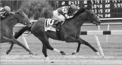  ?? SV PHOTOGRAPH­Y ?? Helium, with Jose Ferrer riding, wins the Tampa Bay Derby after an eventful trip at odds of 15-1.