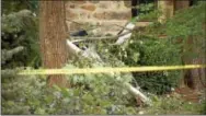  ?? PHOTO COURTESY OF NBCPHILADE­LPHIA.COM ?? Debris from a small plane crash is seen in the yard of a home on Meade Road in Whitpain, Montgomery County.