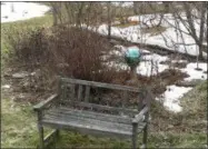  ?? LEE REICH—ASSOCIATED PRESS ?? This undated photo shows a perennial garden in New Paltz, N.Y. Leaving a few old plants and seedbeds, rather than thorough garden cleanup, keeps the garden interestin­g all through winter.