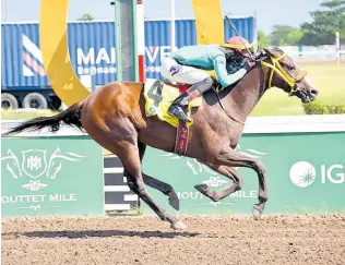  ?? ANTHONY MINOTT/FREELANCE PHOTOGRAPH­ER ?? ABILITY, ridden by Romario Spencer, wins the third race, a three-year-old and upwards restricted allowance stakes over seven furlongs at Caymanas Park on January 27.