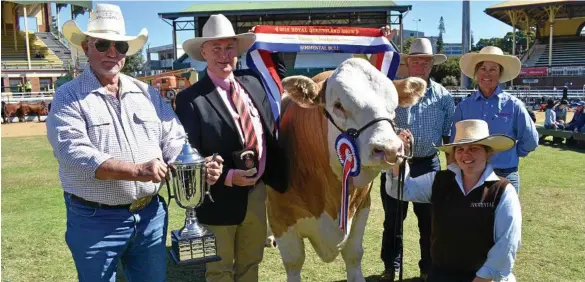  ?? PHOTO: CASSANDRA GLOVER ?? BEAUTIFUL BULL: John Pocock, Andrew Meara, John Iseppi, Bec Skene and Lis Skene with Grand Champion Simmental Bull, Meldon Park Matador (P).