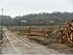  ?? Foto: Wolfgang Widemann ?? Knapp vier Hektar Wald sind an der B2 bei Monheim gerodet worden.