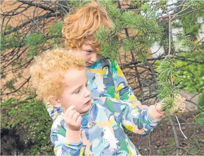  ?? Picture: Steven Brown. ?? Robbie, 3, shows his brother Jamie the bird feed in local woodland.