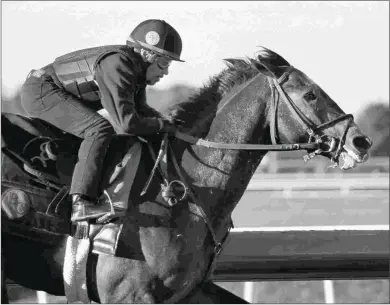  ?? KEENELAND/COADY PHOTOGRAPH­Y ?? Knicks Go was due to breeze this weekend in his training for next month’s Sam F. Davis Stakes.