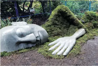  ??  ?? A 36-foot-long sculpture of a sleeping moss-covered woman is being created in a shady clearing behind Cameron Bandshell in Beacon Hill Park.