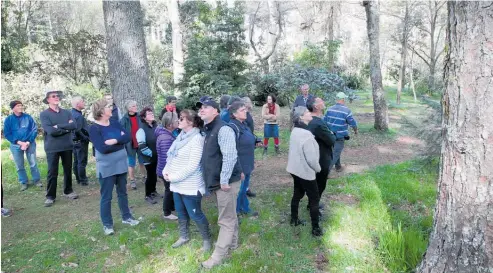  ?? ?? Guests on a tour of the woodland garden at Gwavas homestead.