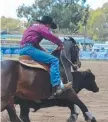  ?? Picture: Tessa Flemming ?? Mark Buttsworth in action during the 2019 Warwick Campdraft.