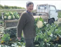  ?? PHOTOS : SUPPLIED ?? Reggie Joe harvests cauliflowe­r on his farm in 2012. Right: Mr Joe harvesting tomatoes in his glasshouse in 1981. Below: Mr Joe outside his wellknown vege stall in Alma, on State Highway 1.