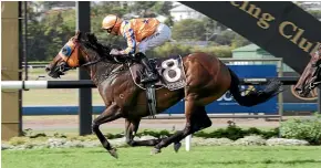  ?? TRISH DUNELL ?? Avantage and rider Opie Bosson win the Bonecrushe­r Stakes.