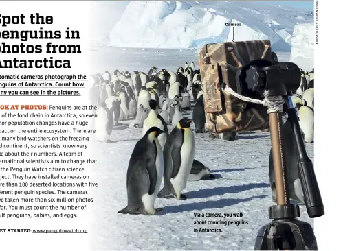  ??  ?? Via a camera, you walk about counting penguins in Antarctica. Camera