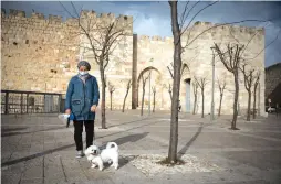  ?? (Nati Shohat/Flash90) ?? A WOMAN walks her dog outside the Jaffa Gate in the Old City of Jerusalem on Monday.