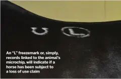  ?? ?? An “L” freezemark or, simply, records linked to the animal’s microchip, will indicate if a horse has been subject to a loss of use claim